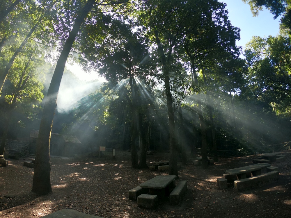 Place for BBQ in the Anaga National Park.